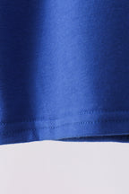 Blue 250 Years flag family top