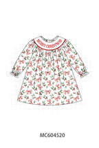 Merry christmas embroidery dress